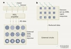 新的视觉系统无需将信息转换成数字格式