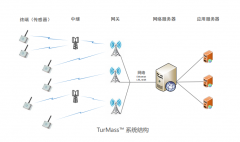 TurMass-全新一代 LPWAN 系统级芯片通信技术解读