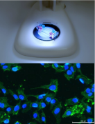 点成分享 | 选择点成BEOnChip芯片的六大理由