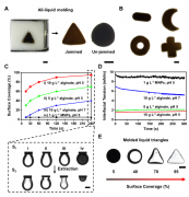 开发一种基于磁控结构化液滴的生物组装技术