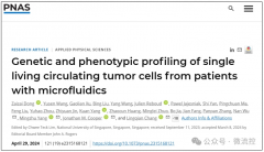 基于微流控的纳米细胞芯片，用于肺癌免疫治疗