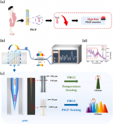 集成微流控芯片的μFBG生物传感器，用于子痫前期