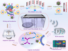 基于“血糖仪+智能手机”的微流控装置，用于嗜