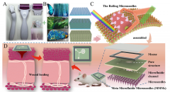 仿生超构微流控微针贴片，用于高效伤口管理