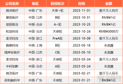 微灵医疗率先打通国内首个全植入式脑机接口全