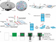 用于DNA检测的POCT微流控器件