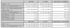 比亚迪上半年净利润同比增长204.68%，国内新能源