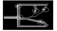 <b>电-磁振子组合型超宽带UWB天线的特性研究</b>