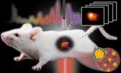 可用于疾病无创传感和筛查的体内表面增强拉曼