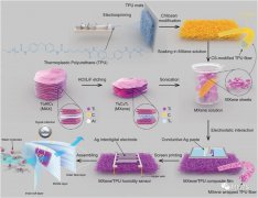 基于MXene/TPU复合薄膜的湿度传感器助力人体呼吸