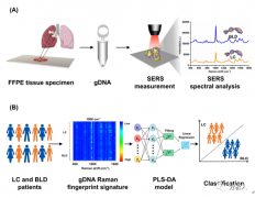<b>机器学习+表面增强拉曼光谱技术用于早期肺癌筛</b>