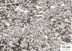 多孔氮化硅陶瓷天线罩材料制备及性能研究