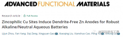 《AFM》：一种简单有效的策略解决锌电极枝晶问