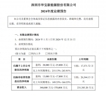 华宝新能2024年营收创历史新高 同比增长146.94%至