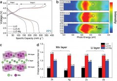 定量识别掺杂位点：解锁富锂正极材料的高性能