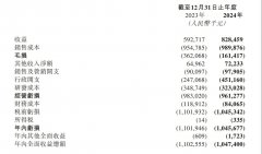 GaN芯片出货6.6亿颗！英诺赛科2024年营收超8.2亿，