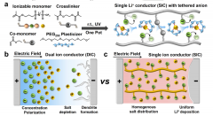 高锂金属负极形貌稳定性的聚电解质