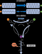 什么是隔离器？隔离器与环形器的不同