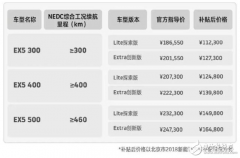 威马汽车166亿动力电池项目开工 项目总产能15G