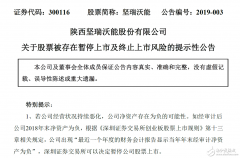 坚瑞沃能深陷债务危机或将被暂停上市