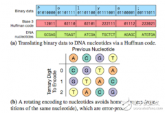 DNA存储延续千年的承载介质，可将数据压缩至方