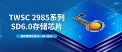 国内首颗，精准纠错！德明利TWSC2985系列：支持