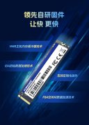 FORESEE XP2300 PCIe SSD：引领AI PC存储革新的旗舰级解