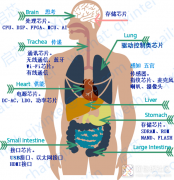 <b>电源设计中的去耦电容深入理解及应用实例</b>