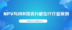 财务管理NPV与IRR投资分析在IT行业案例