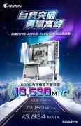 技嘉 Z890 AORUS Tachyon ICE 钛冰雕 24 小时双破 D5 内存