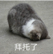 在 Web 前端实现流式 TTS 播放