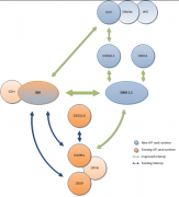 WPF 使用 Vortice 在 D3DImage 显示 D2D 内容