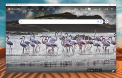 <b>隆重介绍.NET界面组件WinFormedge</b>