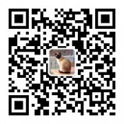 Python 潮流周刊#89：Python 3.14 的新型解释器！（摘