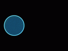 Manim实现图像变形特效