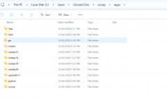Scoop: 开发者多环境管理利器