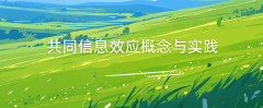 共同信息效应概念与实践
