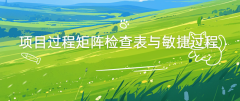 项目过程矩阵检查表