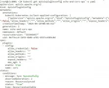 apisix~ApisixPluginConfig的使用