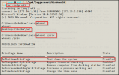 Windows 提权-服务_弱文件/目录权限