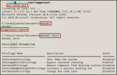 Windows 提权-服务_弱注册表权限