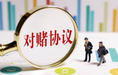 关于所谓的对赌类软件项目反思