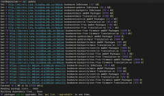 如需通过 SSH 远程管理，可配置 root 密码