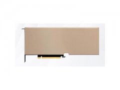 NVIDIA Tesla H800 80G 双槽全高设计 适配服务