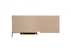 NVIDIA Tesla H200 141G 双槽全高设计 适配服务