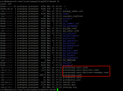 pg_auto_failover 高可用中，PostgreSQL实例配置