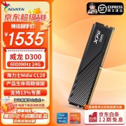 威刚 48GB DDR5 6000 RGB 内存条：次世代大容量与炫彩
