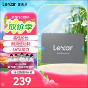 雷克沙 NQ100 480GB SSD京东限时特惠到手只需229元