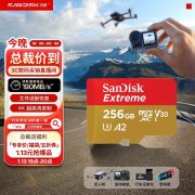 闪迪 至尊极速 256GB 存储卡 京东自营今日特惠3
