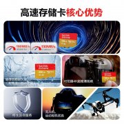 闪迪 Extreme 256GB MicroSD卡 黑色 microSD 京东自营 限
